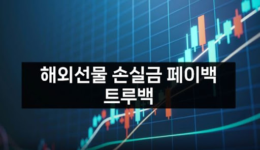 트루백: 해외선물미니업체에서의 안정적이고 신뢰할 수 있는 투자 전문가