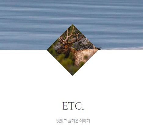 태상의 미니샵 바로가기: 집콕라이프와 타운하우스 라이프의 교집합
