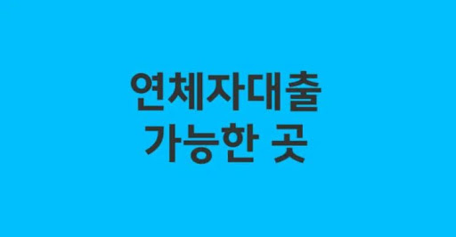 연체자 대출: 대출 한도 결정 기준